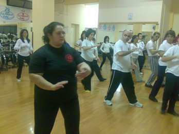 Seminario di Tai Chi con Master Salvatore Mezzone